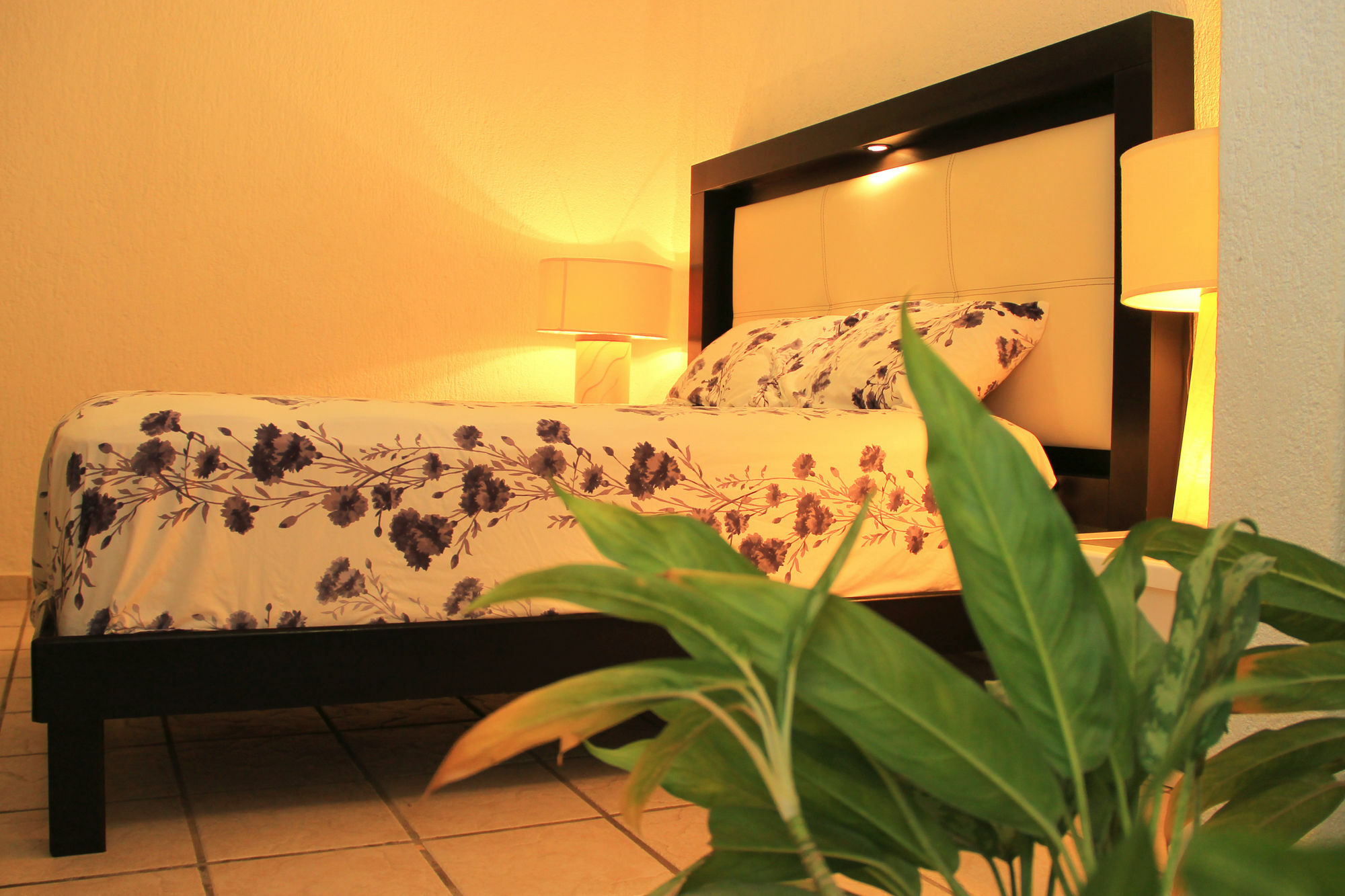 Vida Playa Suites Playa del Carmen Dış mekan fotoğraf